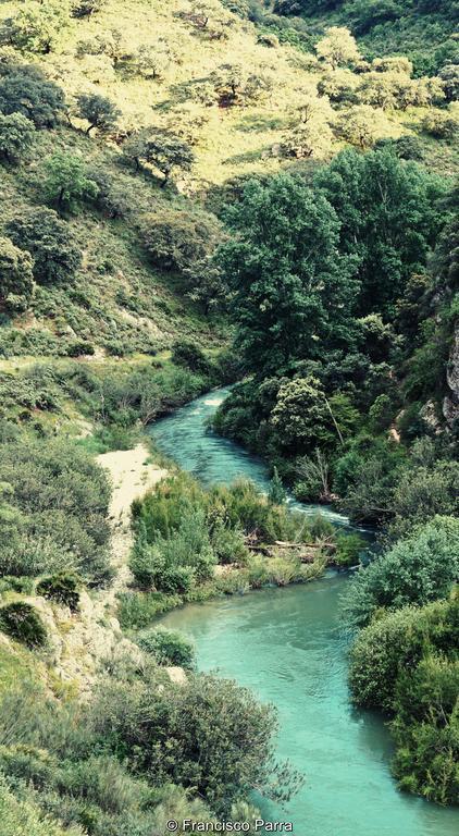 Casa Rural El Nacimiento เบเนาจ์อัน ภายนอก รูปภาพ