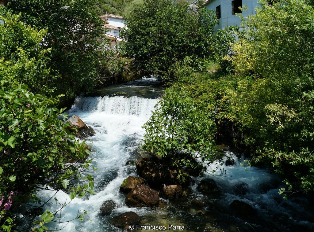 Casa Rural El Nacimiento เบเนาจ์อัน ภายนอก รูปภาพ