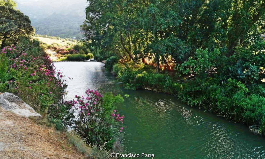 Casa Rural El Nacimiento เบเนาจ์อัน ภายนอก รูปภาพ