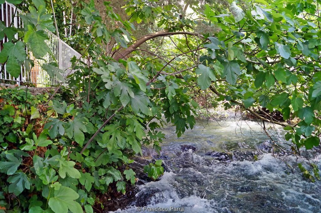 Casa Rural El Nacimiento เบเนาจ์อัน ภายนอก รูปภาพ